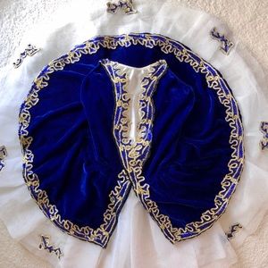 Gorgeous Royal Blue Bell Tutu Ballerina Costume